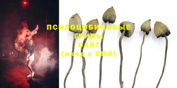 сатива Алексеевка