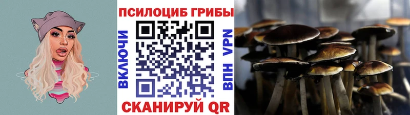 магазин продажи наркотиков  Ноябрьск  Псилоцибиновые грибы Cubensis 